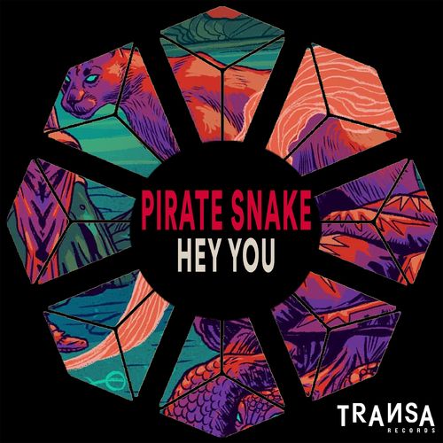 Pirate Snake - Hey You / TRANSA RECORDS