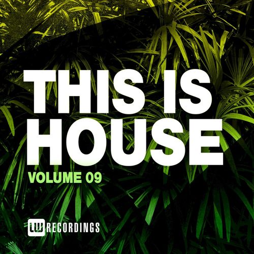 VA - This Is House, Vol. 09 / LW Recordings