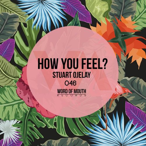 Stuart Ojelay - How You Feel? / Word of Mouth Records