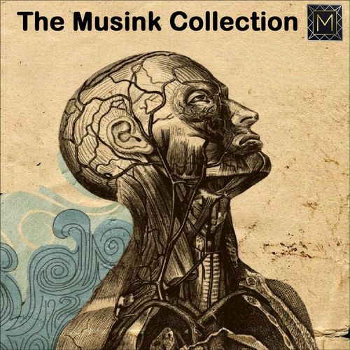 The Musink - The Musink Collection / Marqeez Records