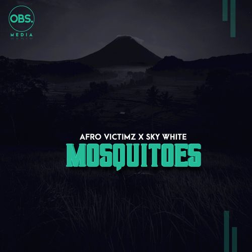 Afro Victimz & Sky White - Mosquitoes / OBS Media
