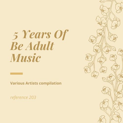 VA - 5 Years of Be Adult Music / Be Adult Music