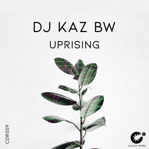 DJ Kaz Bw - Uprising / Celsius Degree Records