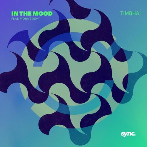 Timbhai - In the Mood / sync.records