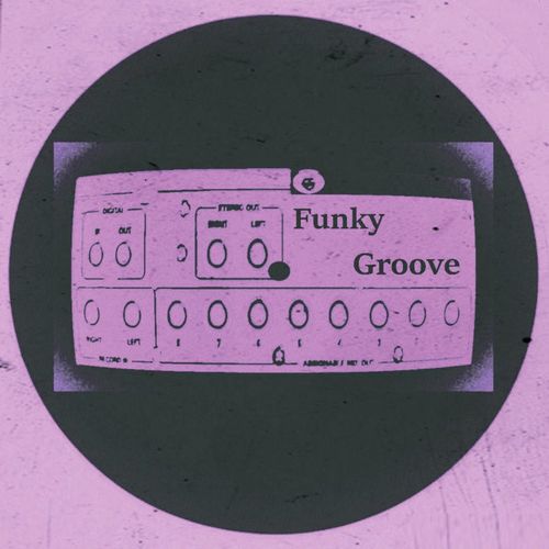 Salvatore Vitrano - Funky Groove / Boogiemonsterbeats Recordings
