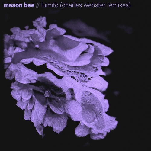 Mason Bee - Lumito (Charles Webster Remix) / Pollen Kit Recordings