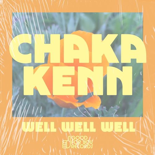 Chaka Kenn - Well Well Well / Good For You Records