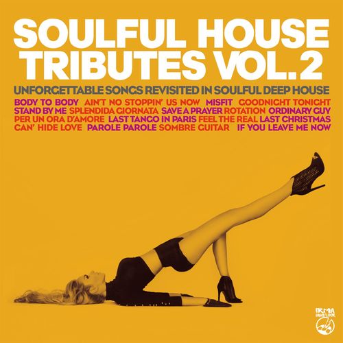 VA - Soulful House Tributes Vol.2 (UnforgettableSongs Revisited InSoulful Deep House) / Irma Dancefloor