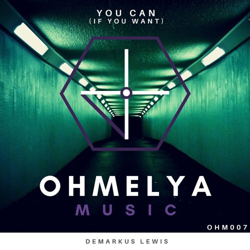 Demarkus Lewis - You Can (if you want) / Ohmelya Music