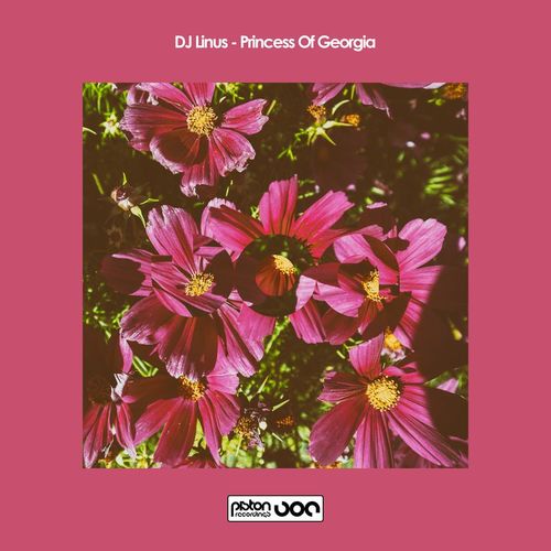 DJ Linus - Princess Of Georgia / Piston Recordings