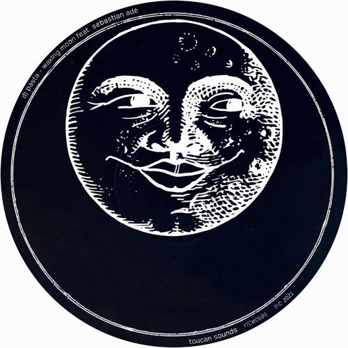 DJ Pasta & Sebastian Adé - Waxing Moon / toucan sounds