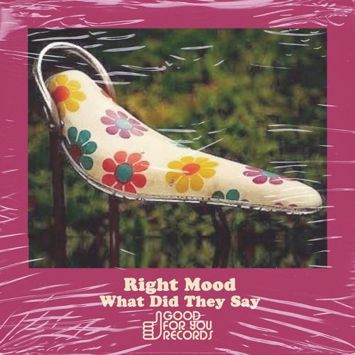 Right Mood - What Did They Say / Good For You Records
