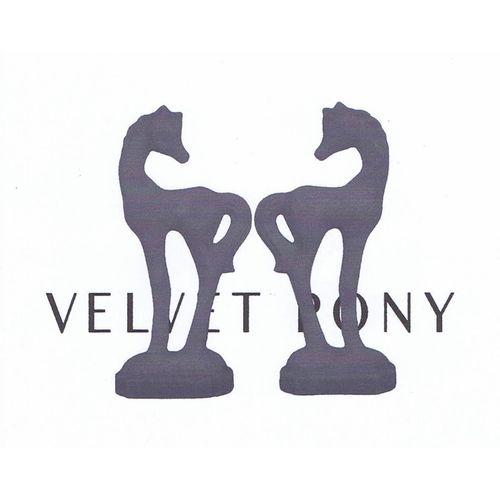 VA - Velvet Pony Trax 9 / Velvet Pony