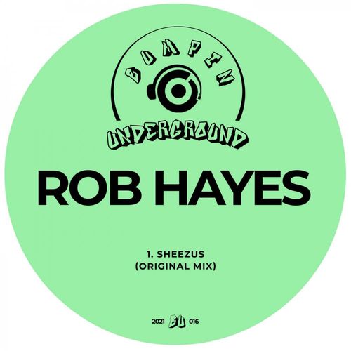 Rob Hayes - Sheezus / Bumpin Underground Records