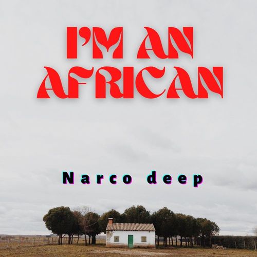 Narco Deep - I'm An African / Dvine Brothers Music