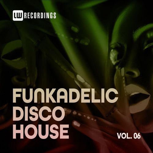 VA - Funkadelic Disco House, 06 / LW Recordings