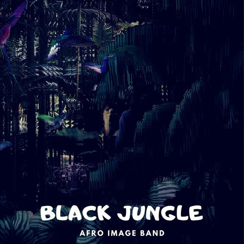 Afro Image Band - Black Jungle / BeachGroove records