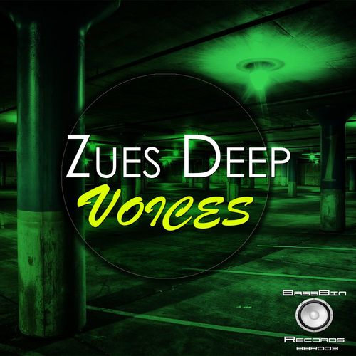 Zues Deep - Voices / BassBin Records