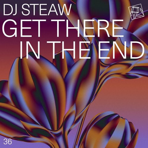 DJ Steaw - Get There In The End / PIV Records