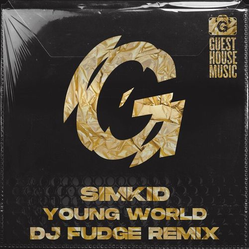 Simkid - Young World (DJ Fudge Remix) / Guesthouse Music