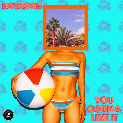 Hotmood - You Gonna Like It / Funky Revival