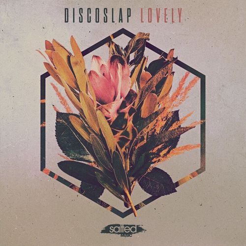 Discoslap - Lovely / SALTED MUSIC