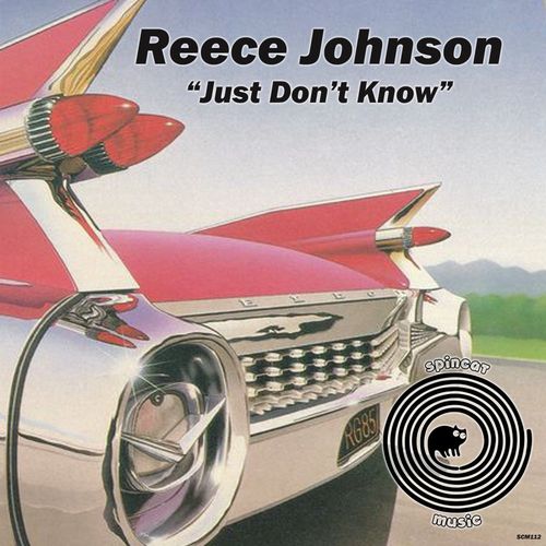 Reece Johnson - Just Don't Know / SpinCat Music