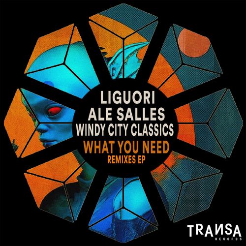 Ale Salles - What You Need ( Remixes EP ) / TRANSA RECORDS