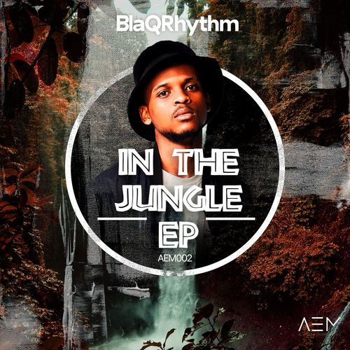 BlaQRhythm - In the Jungle Ep / All Electronic Music
