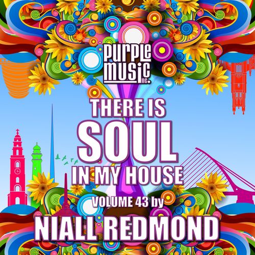 VA - Niall Redmond Presents There is Soul in My House, Vol. 43 / Purple Music