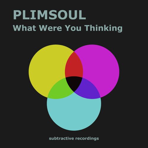 Plimsoul - What Were You Thinking / Subtractive Recordings