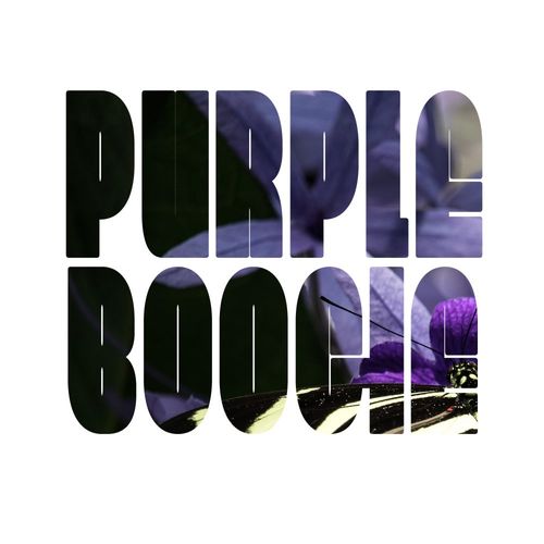 Silence Fingers - Digital World / Purple Boogie