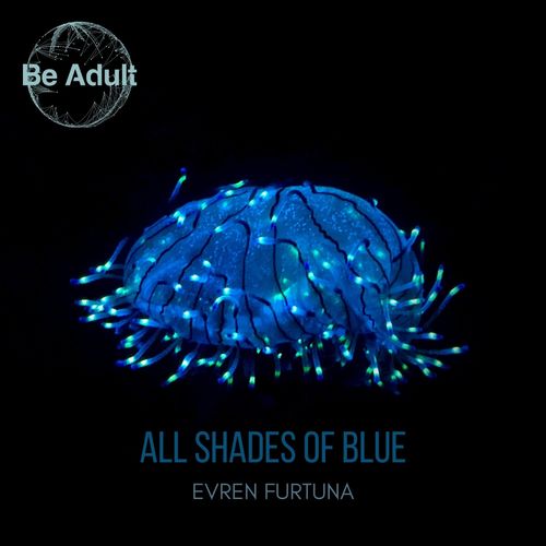 Evren Furtuna - All Shades of Blue / Be Adult Music
