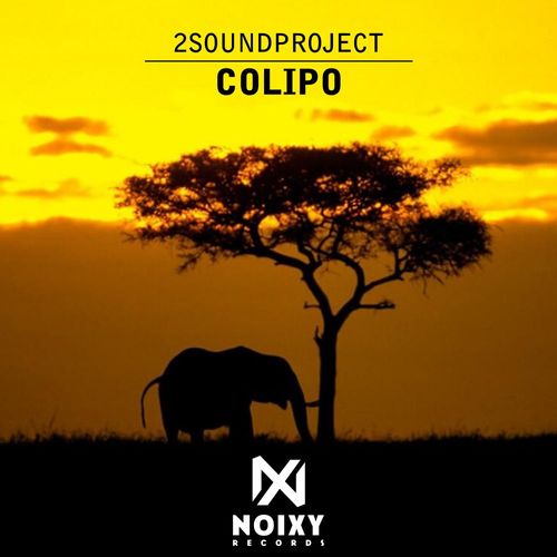 2Soundproject - Colipo / Noixy Records