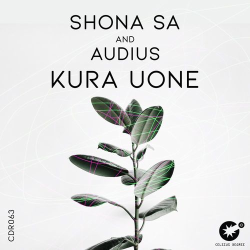 Shona SA & Audius - Kura Uone / Celsius Degree Records