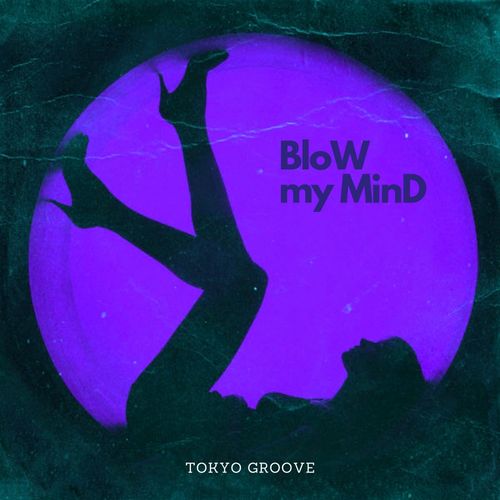 Tokyo Groove - Blow My Mind / Funky Sensation Records