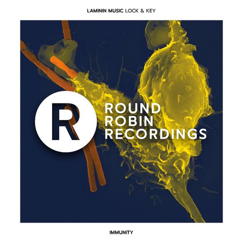 Laminin Music - Lock & Key / Round Robin Recordings