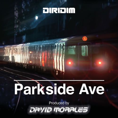 PARKSIDE AVE - Parkside Ave (Produced By David Morales) / Diridim