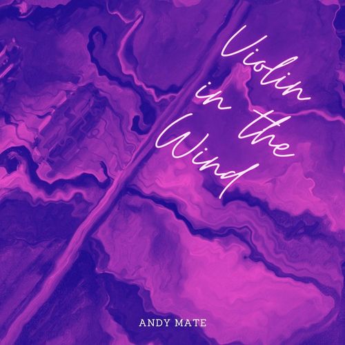 Andy Mate - Violins In The Wind / Funky Sensation Records