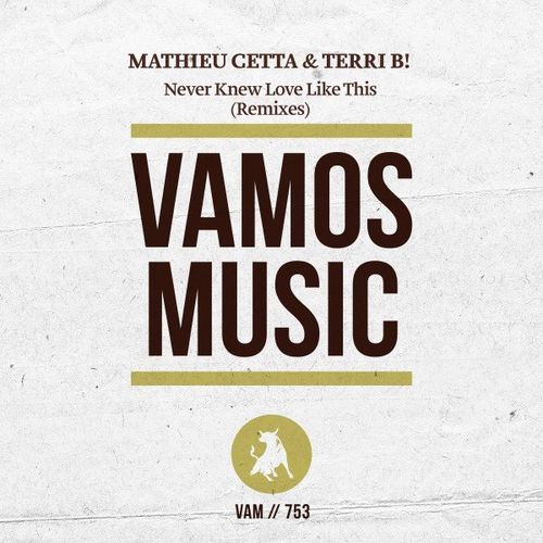 Mathieu Cetta & Terri B! - Never Knew Love Like This (Remixes) / Vamos Music
