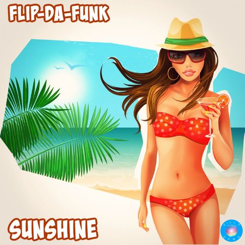 FLIP-DA-FUNK - Sunshine / Disco Down