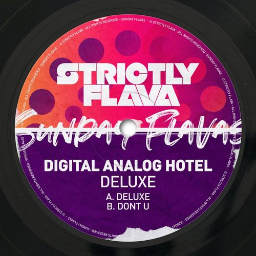 Digital Analog Hotel - Deluxe / Sunday Flavas