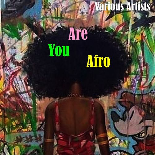 VA - Are You Afro / Blu Lace Music
