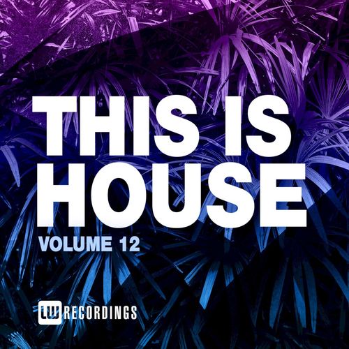 VA - This Is House, Vol. 12 / LW Recordings