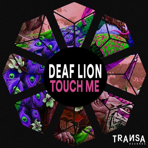 Deaf Lion - Touch Me / TRANSA RECORDS