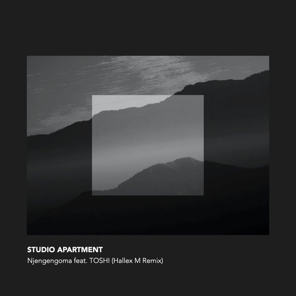 STUDIO APARTMENT ft TOSHI - Njengengoma / N.E.O.N