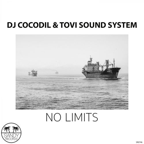 Dj Cocodil & Tovi Sound System - No Limits / Sandy Records