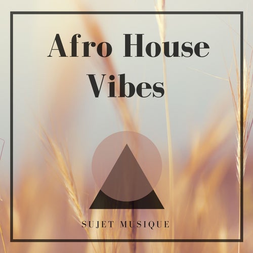 VA - Afro House Vibes / Sujet Musique