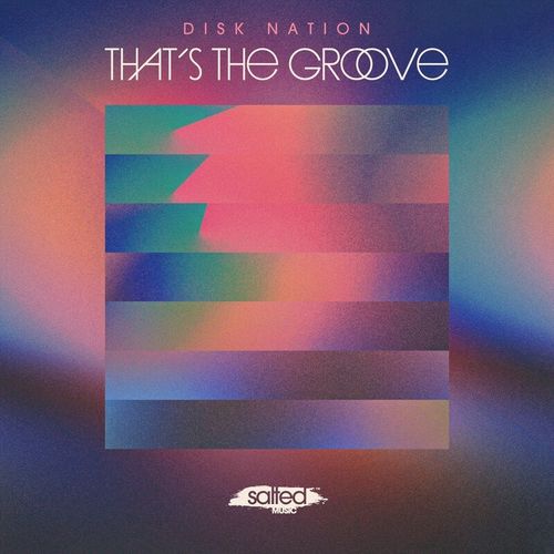 Disk nation - That's The Groove / SALTED MUSIC