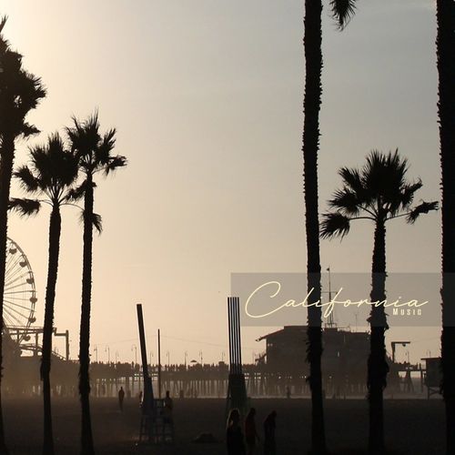 Alex Gomez & Life For Love - Slap - Is Time Of Revolution / California Music
